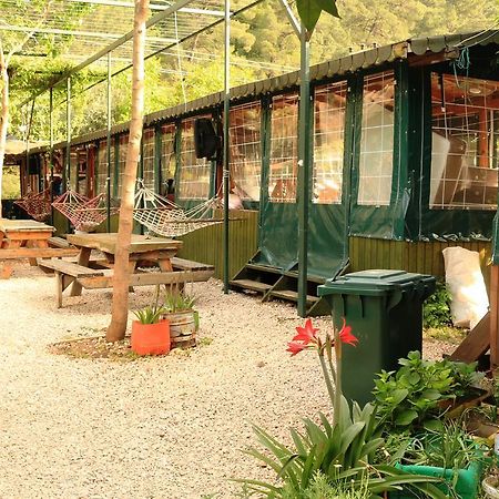 Bed and Breakfast Olympos Zeytin Exteriér fotografie